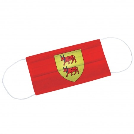 Masque de protection Drapeau Béarn