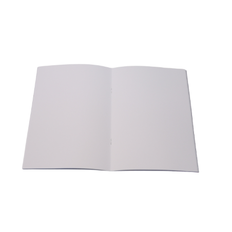 Lot de 3 carnets