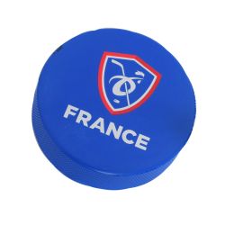 Palet de Hockey
